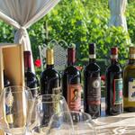 Tenuta Torciano Winery