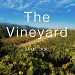 Jada Vineyard & Winery