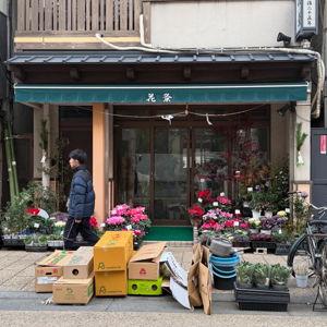 Take us back to Japan!