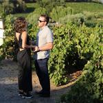 Francis Ford Coppola Winery