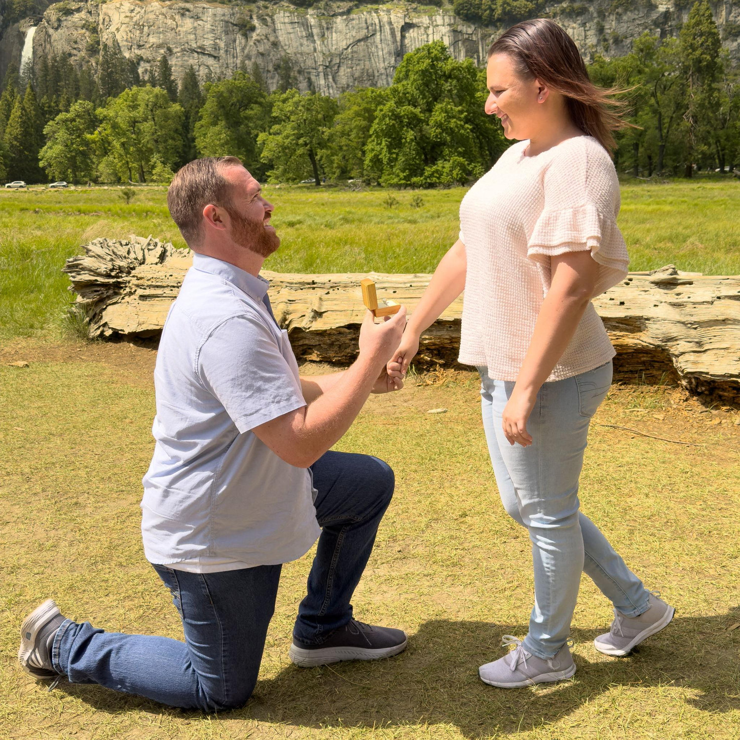 Proposal