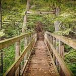 Elachee Nature Science Center