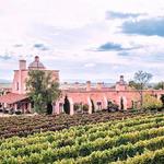 Visit Nearby Wineries