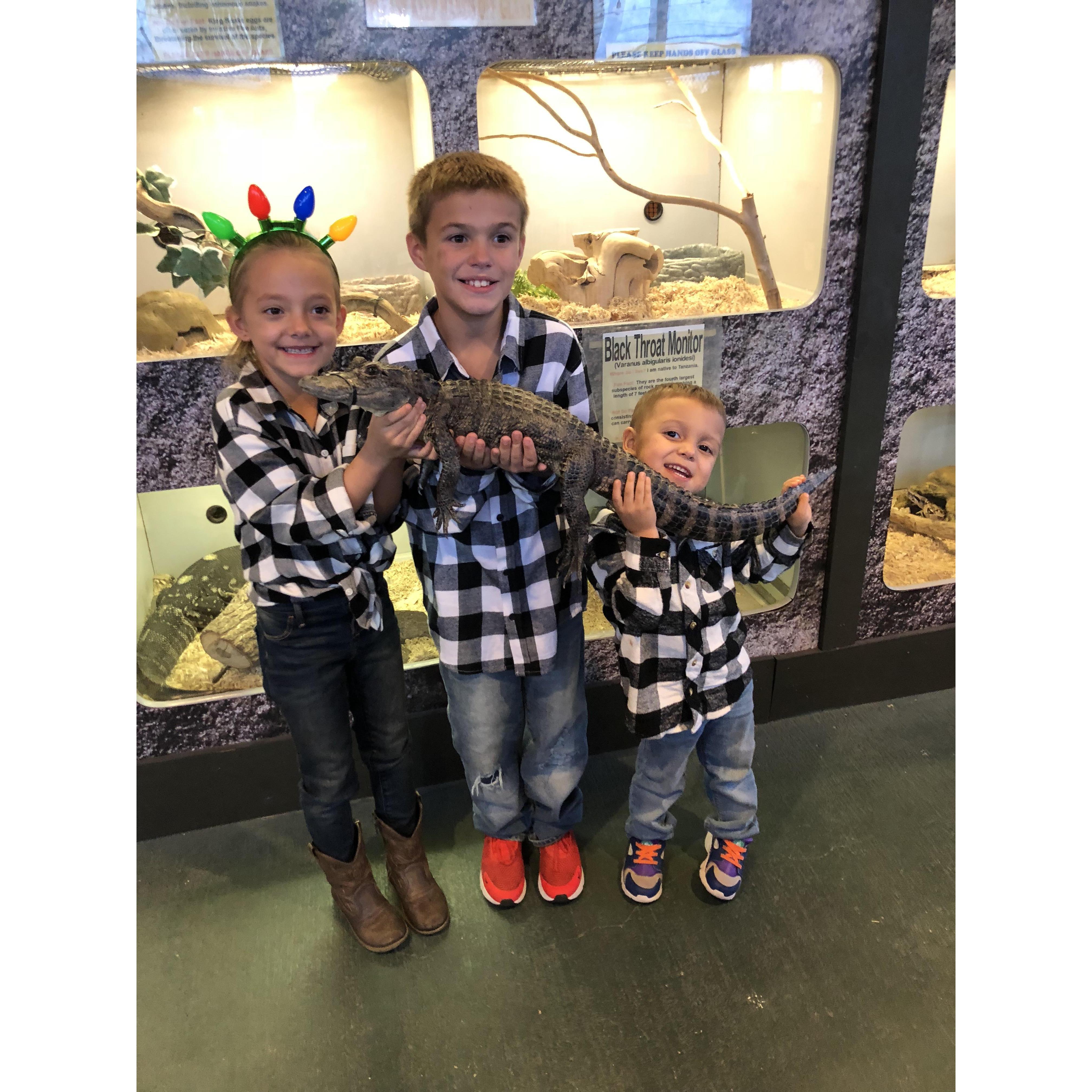 Lions and Tigers and.... Gators Oh My!!!