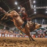 Stockyards Championship Rodeo