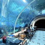 Koral: Bali’s First Aquarium Restaurant
