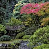 Portland Japanese Garden