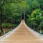 ASC Greenway