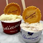 Badiani Gelato Tosinghi