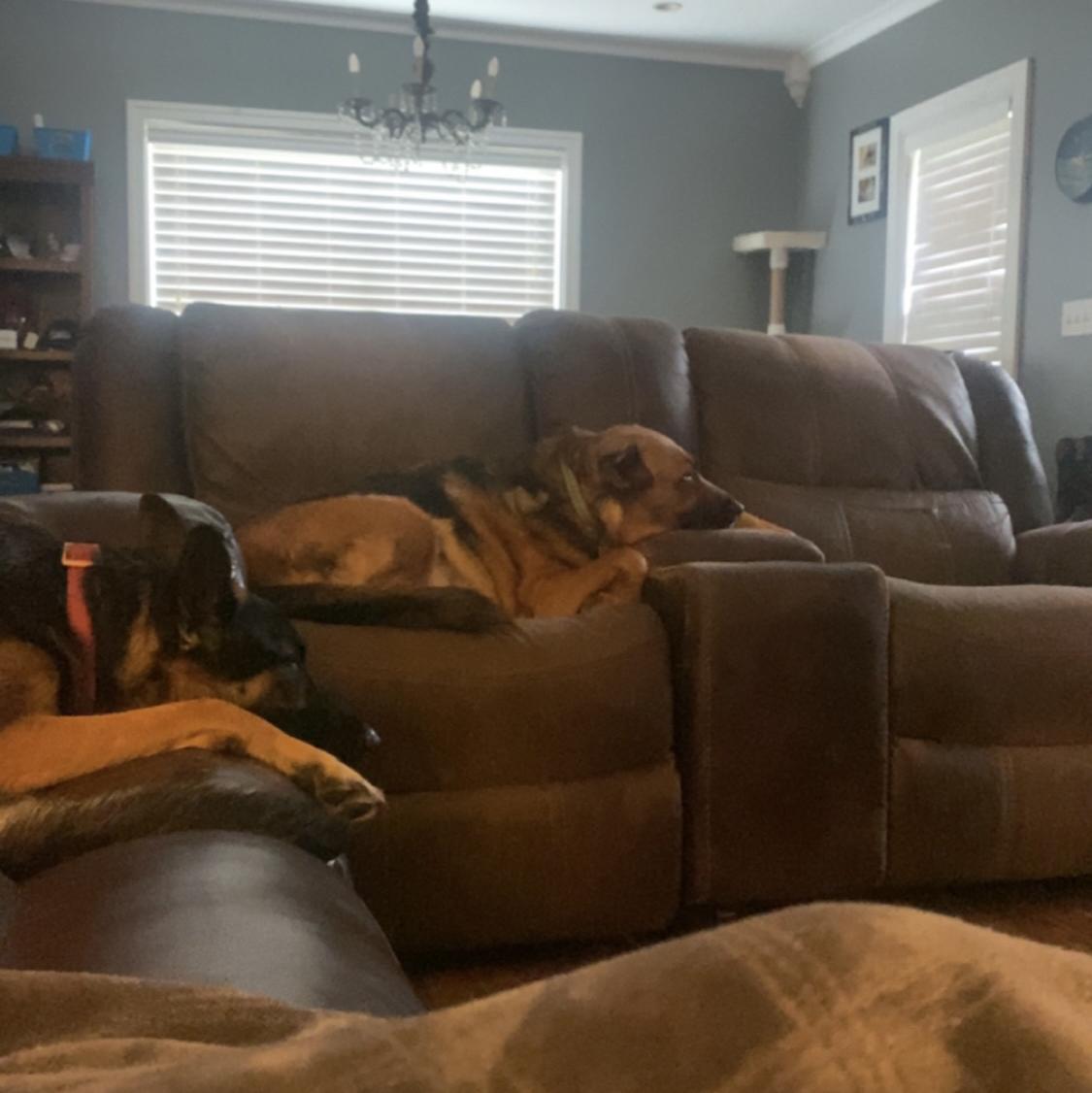 Nana & Ziva