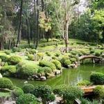 Bosque Los Colomos