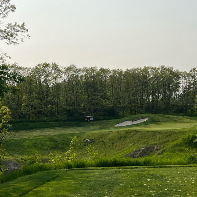 Rental Golf Clubs