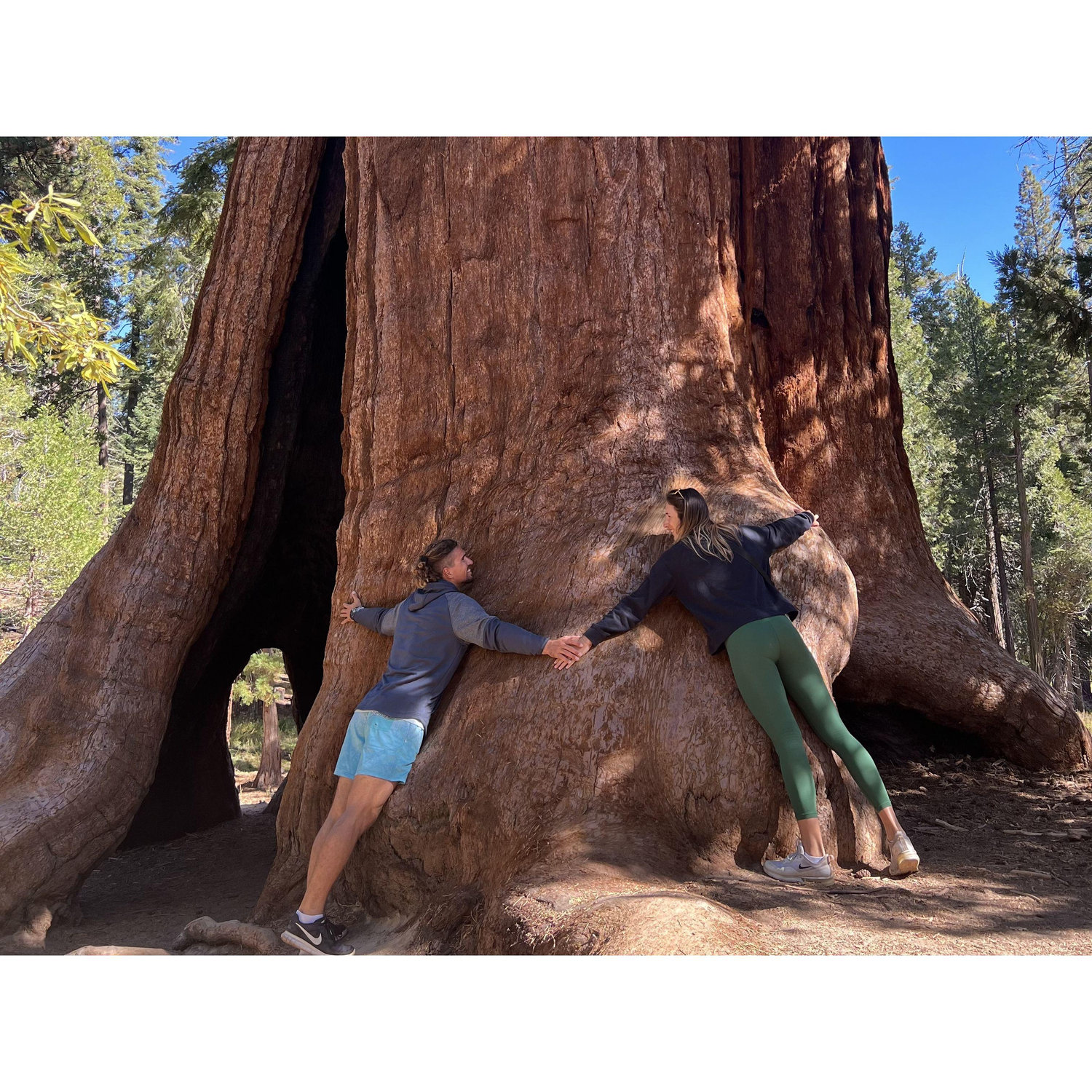 Sequoia National Park