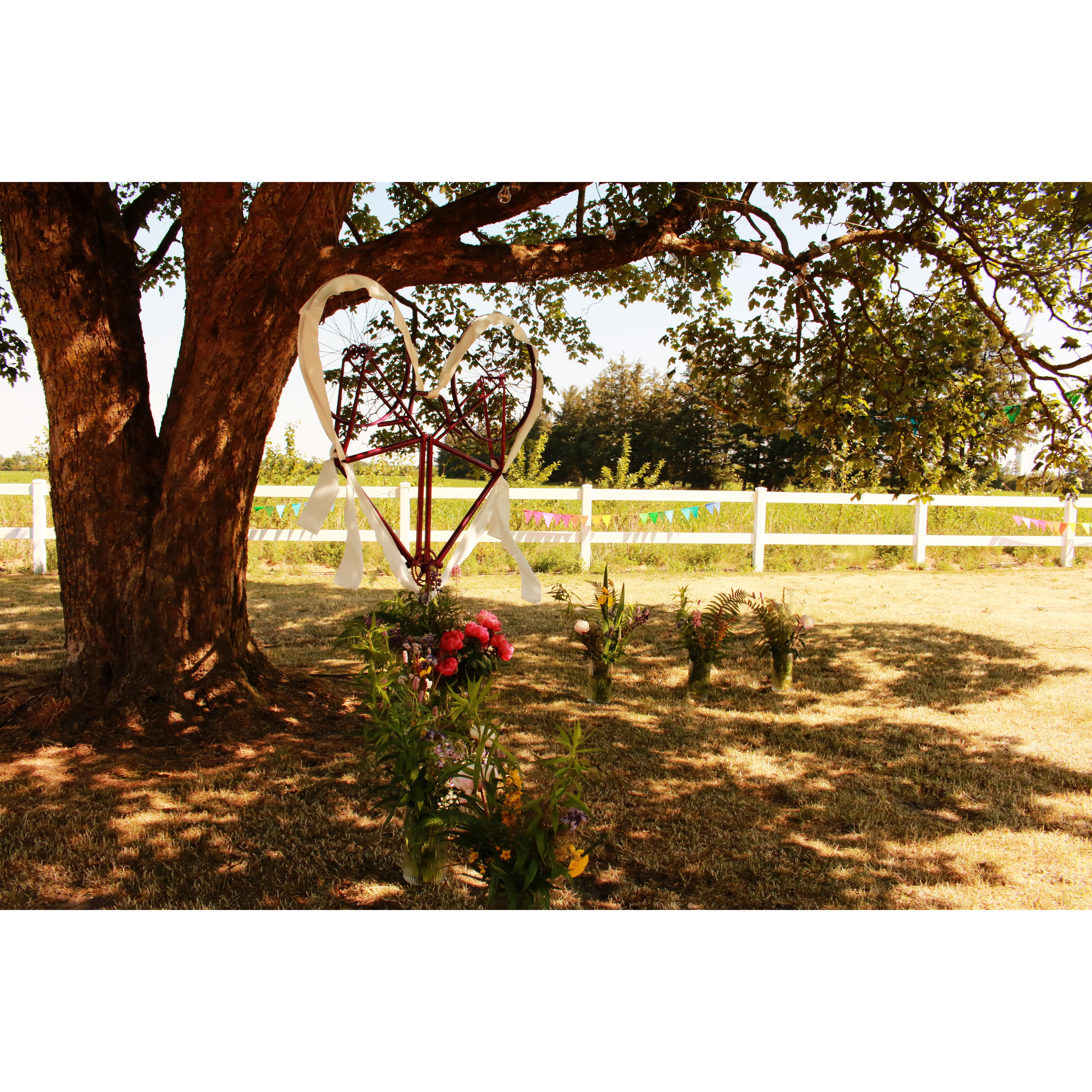 On June 17th, 2023, we got married under this tree!