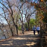 Merit Coffee & Lady Bird Lake Trail