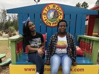 Big Rock Mini Golf & Fun Park