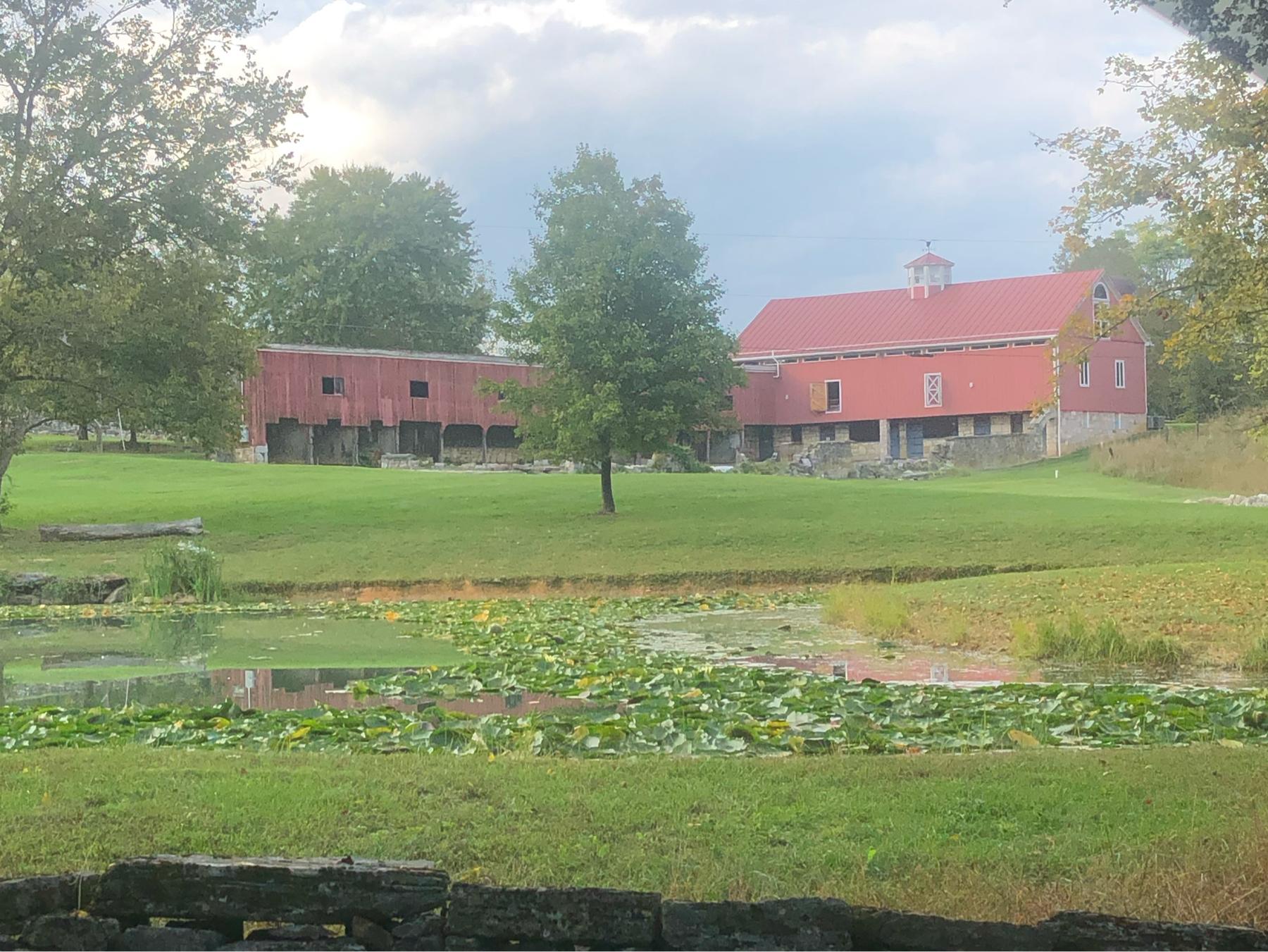 The Wedding Website of Danielle Gallupe and Alex Sword