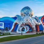 Aquarium at the Boardwalk