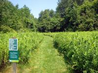 Mountain Meadow Preserve