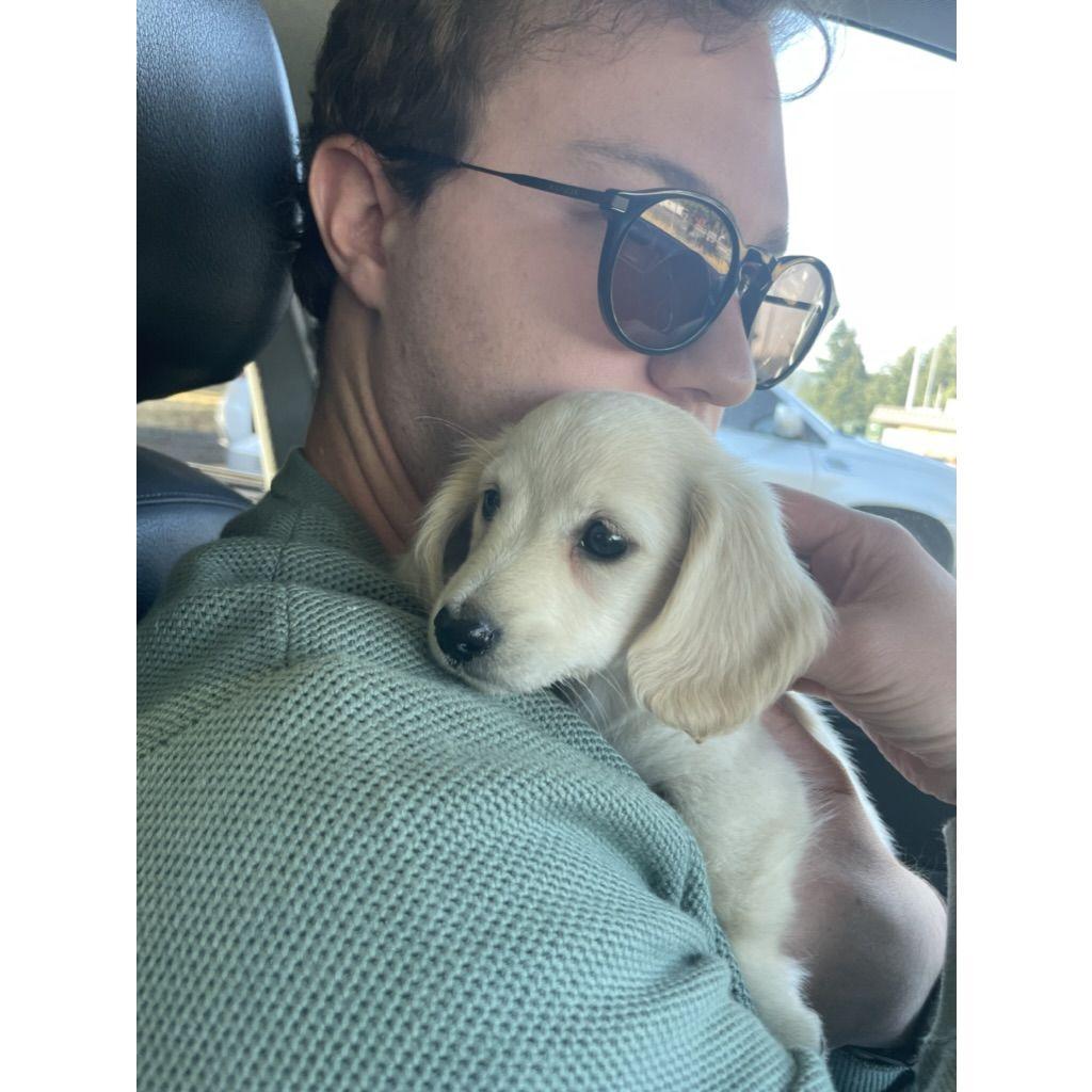 The day we brought home Sterling