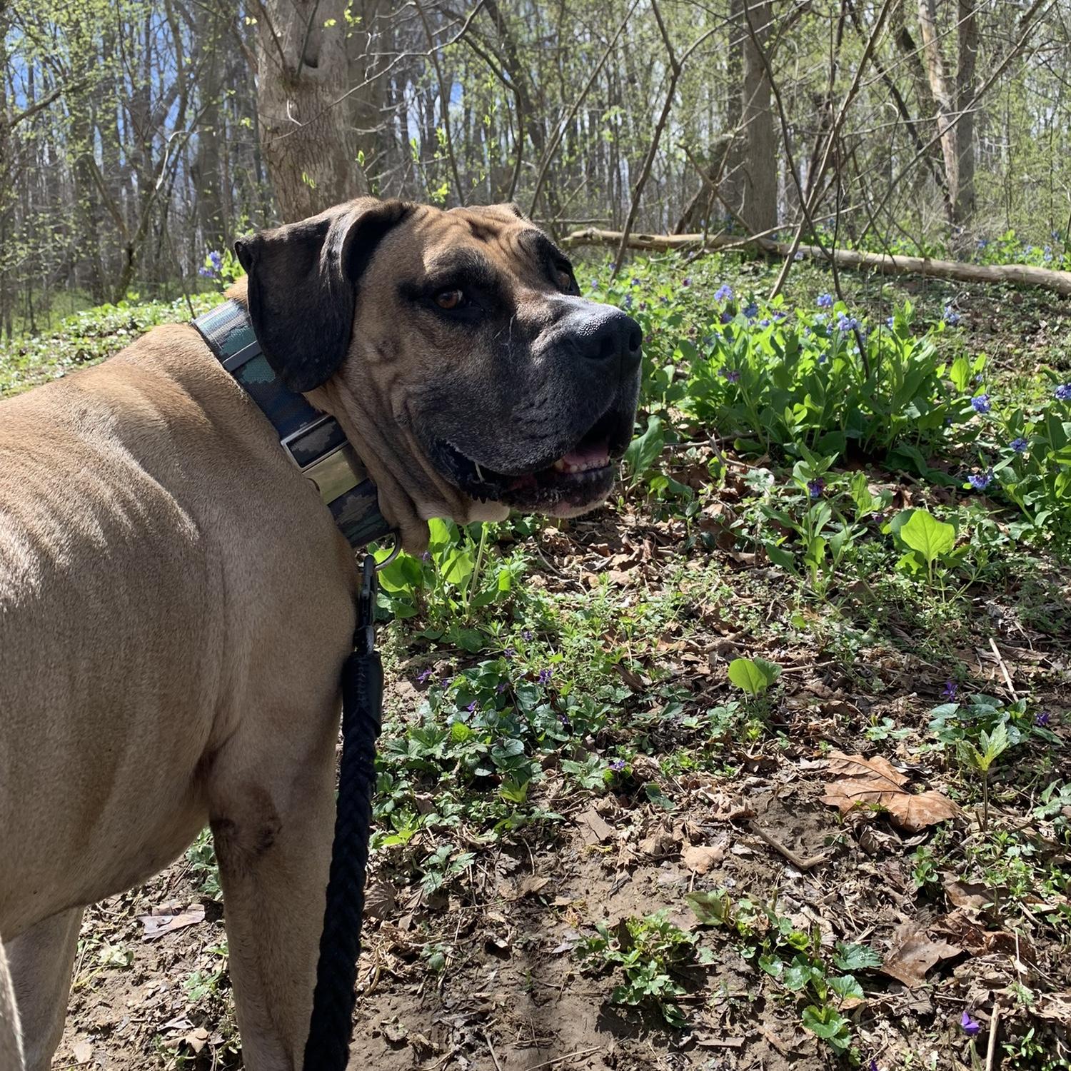 Outdoorsy boy
