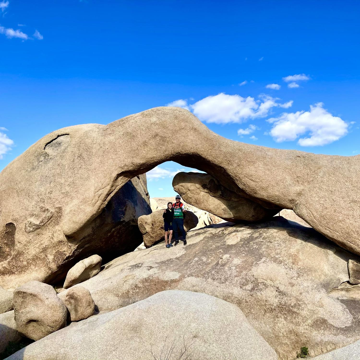 Desert Hot Spring- Joshua tree park, California 🌵