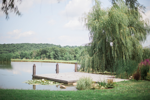 JD DeChellis and Lindsay DeChellis' Wedding Website