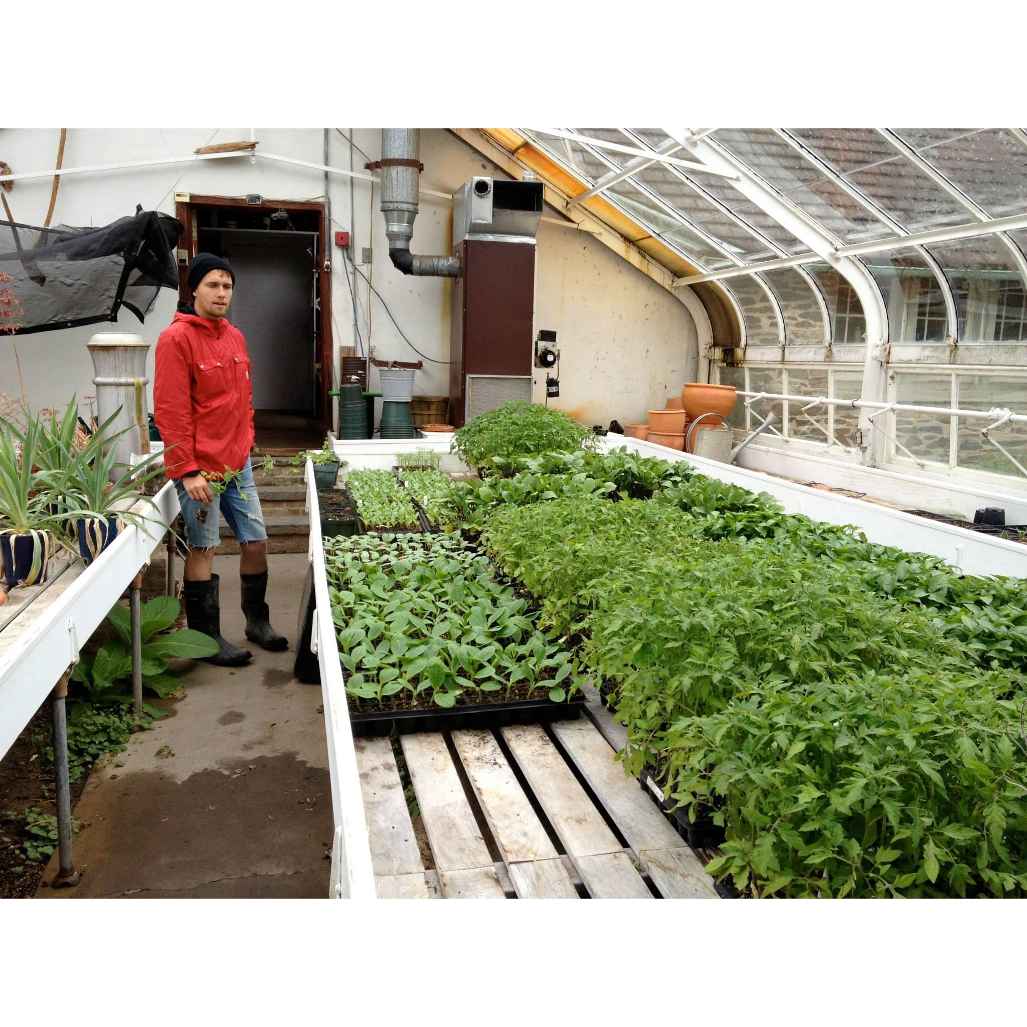 The Greenhouse at Montgomery Place where JP used to start plants for the Bard Farm
