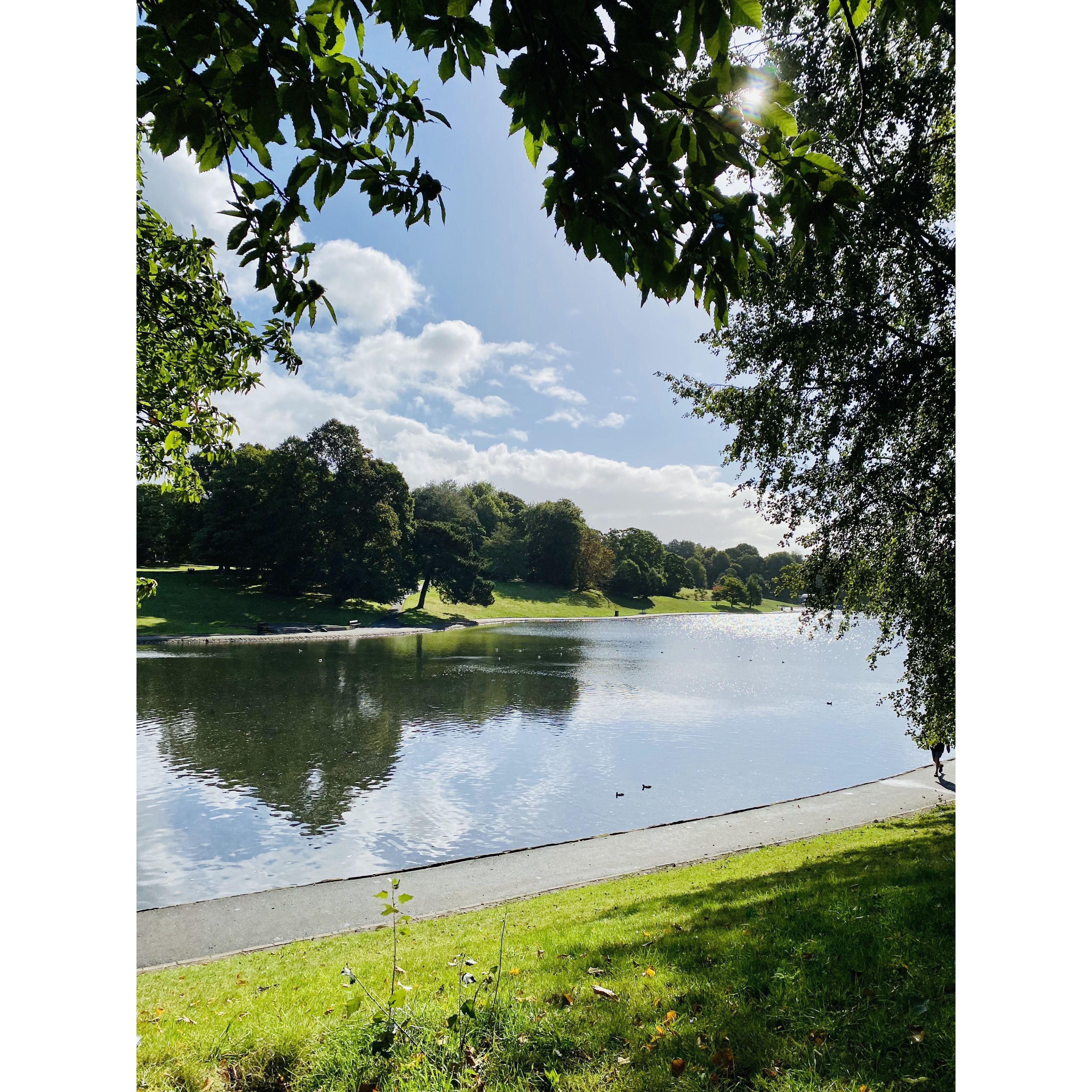 Sefton Park- right across the street from our apartment in England. This was our favorite place to go on walks!