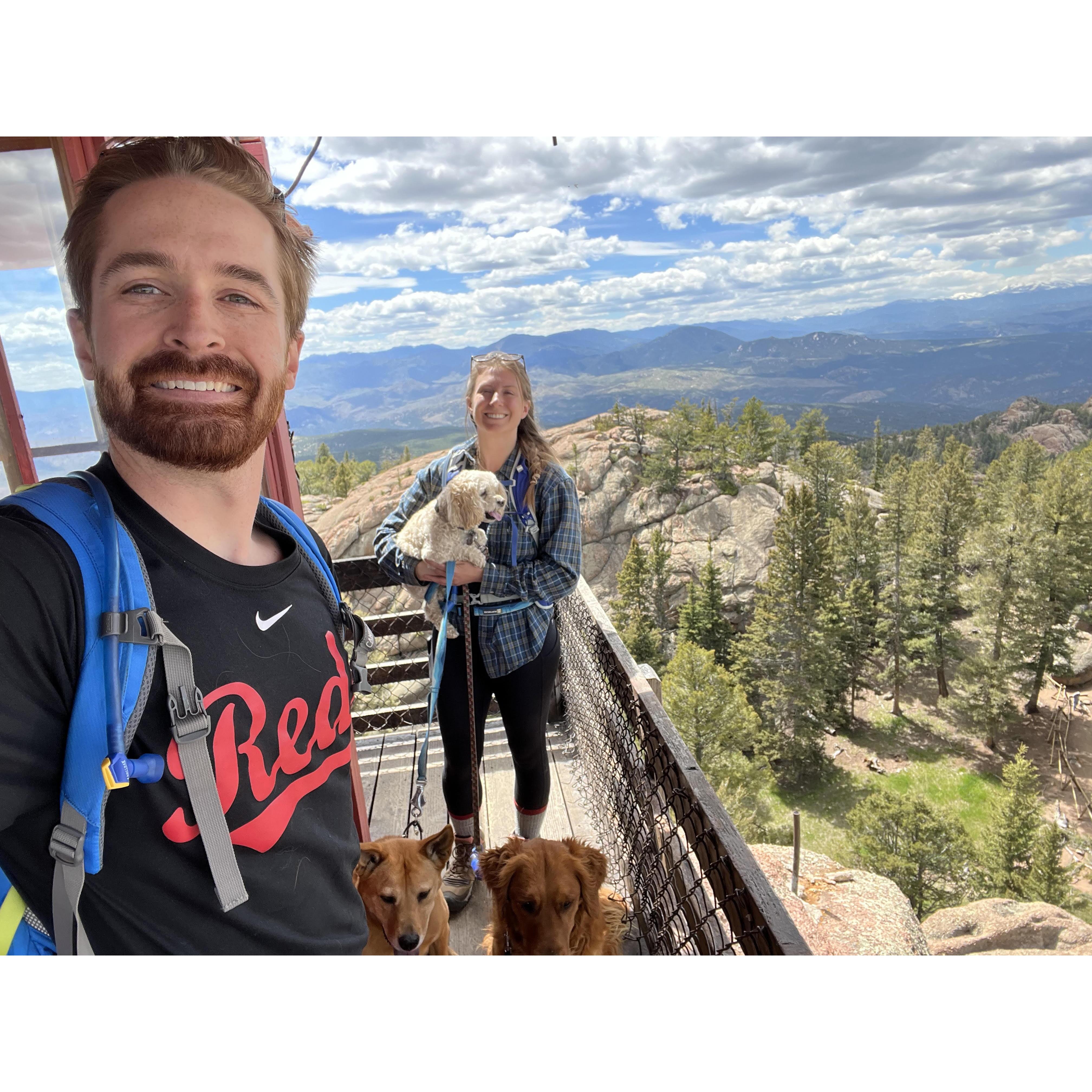 more hikes with the pups