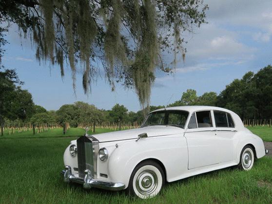 The Wedding Website of Morgan Hackworth and Steven Costello