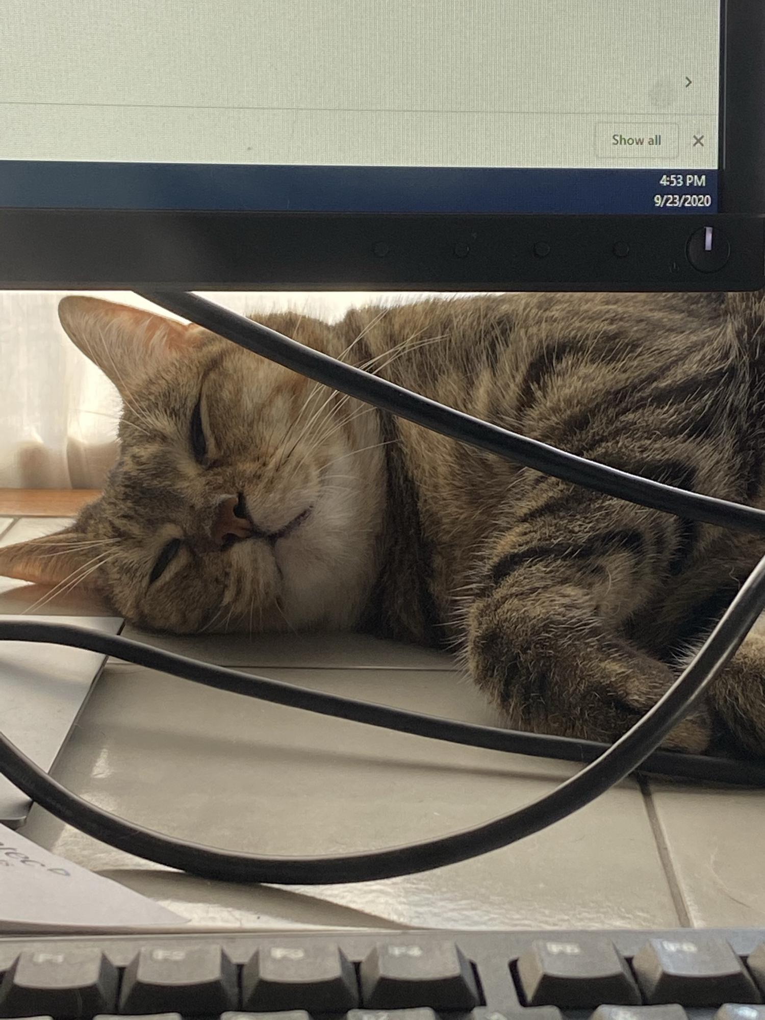 Izzy (office manager)