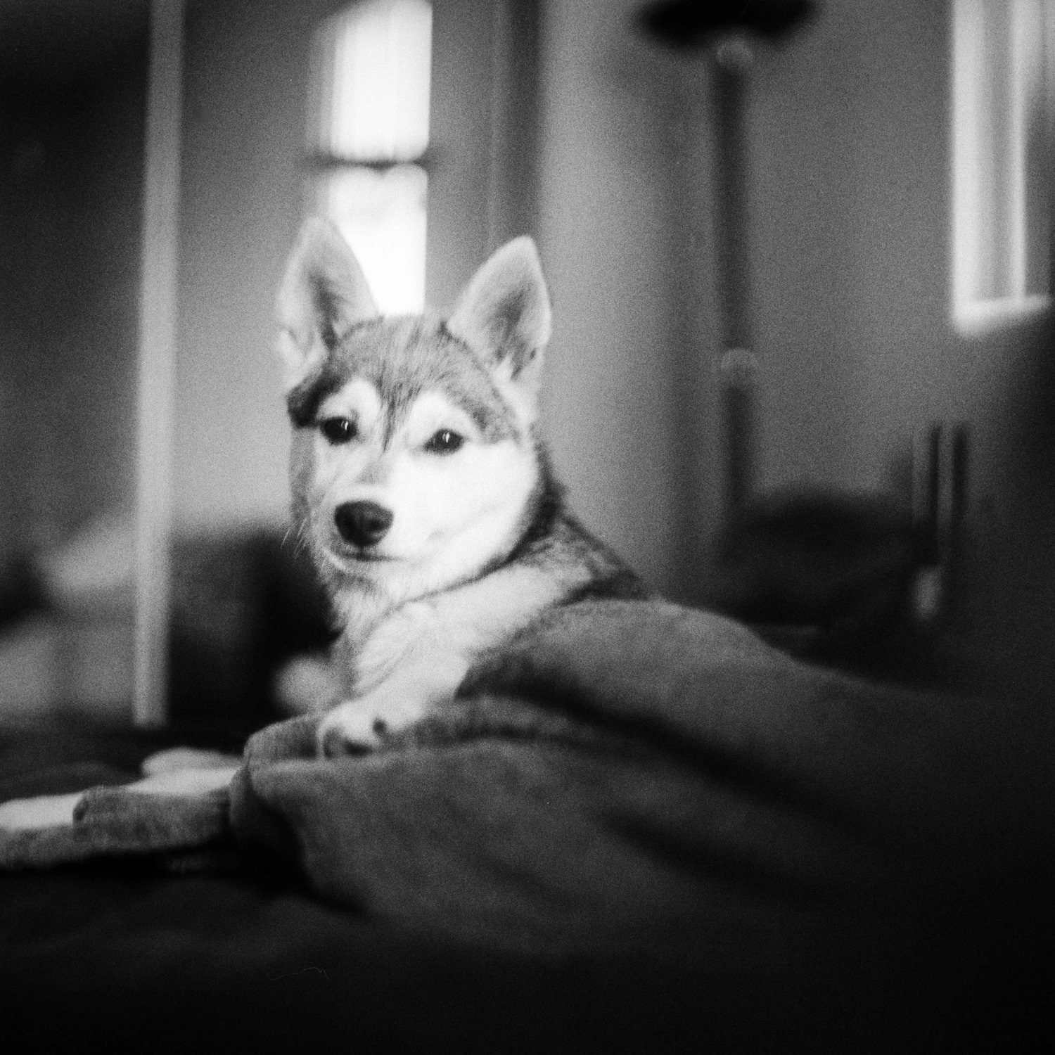 Baby Belle <3