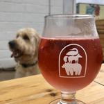 Wild State Cider