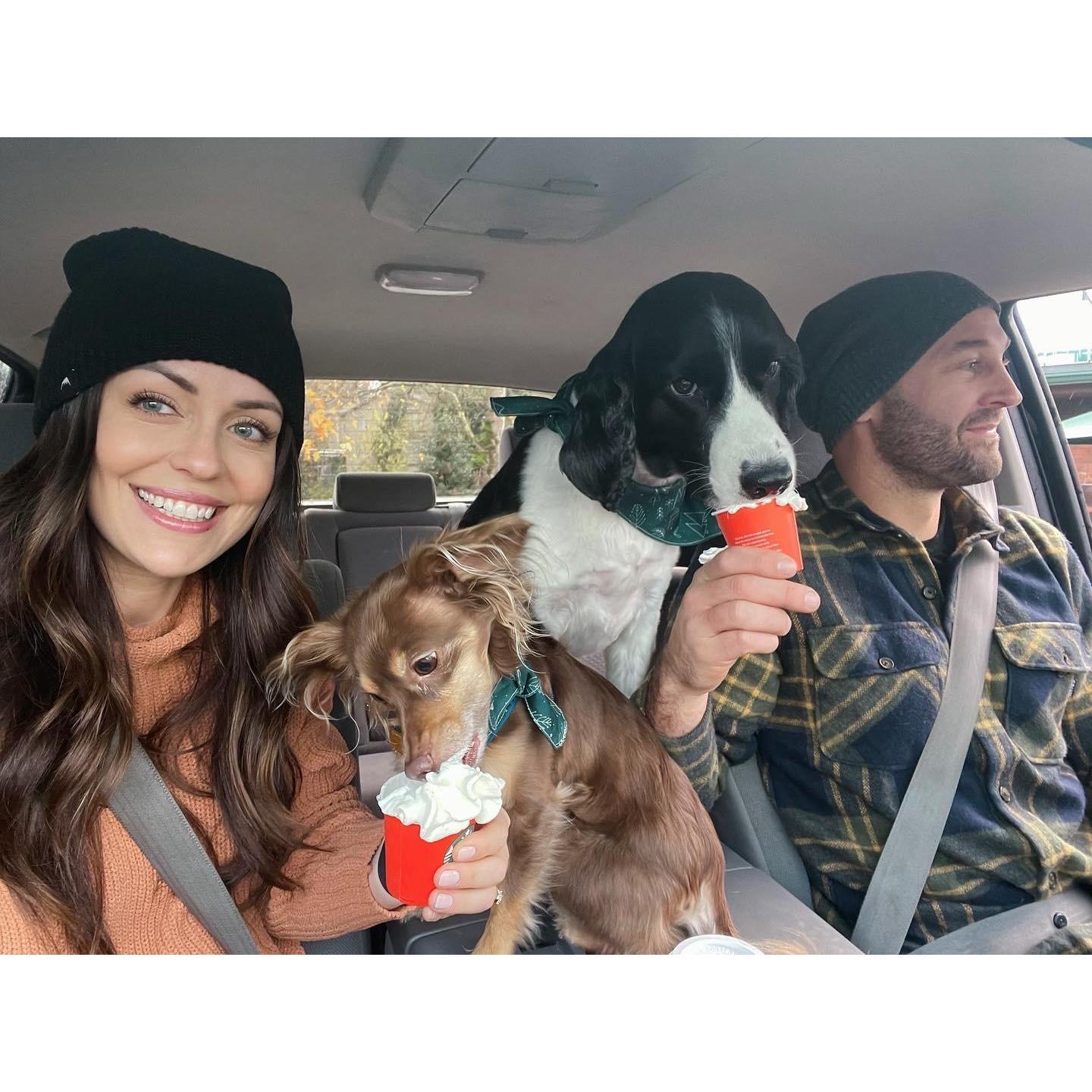 Puppaccino Christmas treats