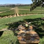 Scribe Winery