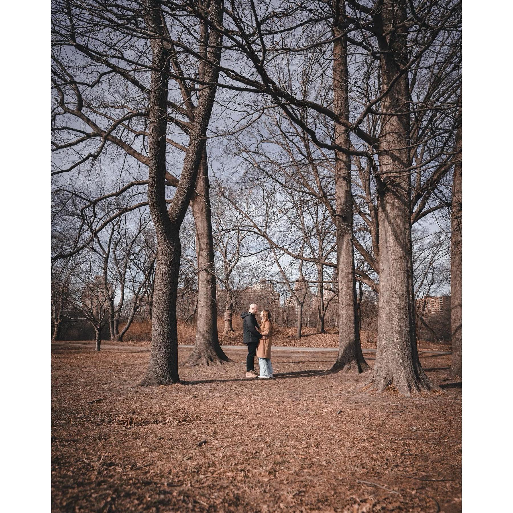 @ Central Park