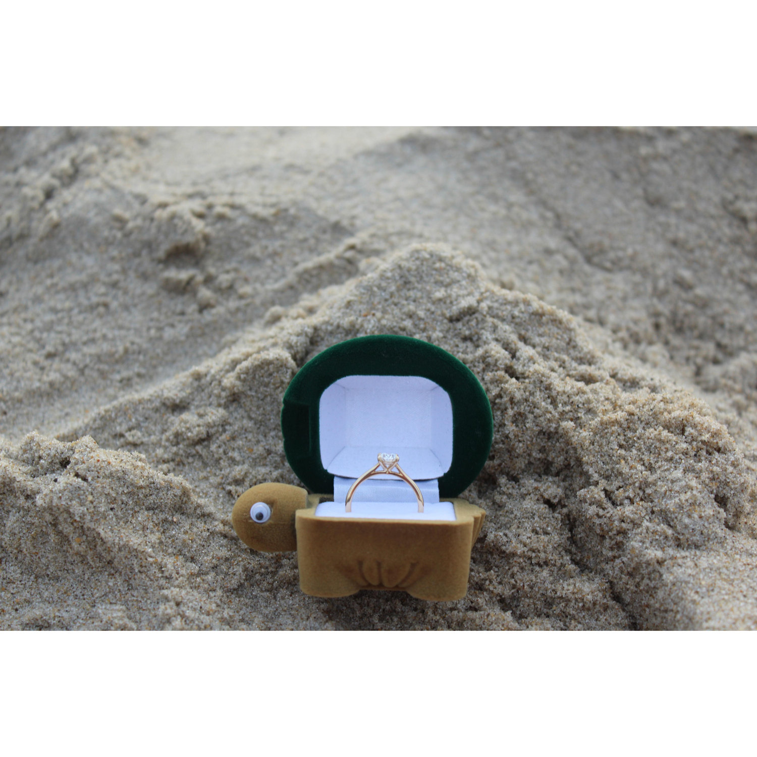 Of course he used a tortoise box to propose!