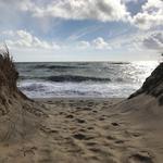 Katama Beach/ South Beach