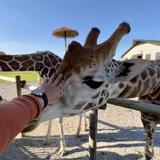 Lake Tobias Wildlife Park
