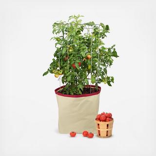 Homegrown Gourmet Tomato Harvest Grow Bag