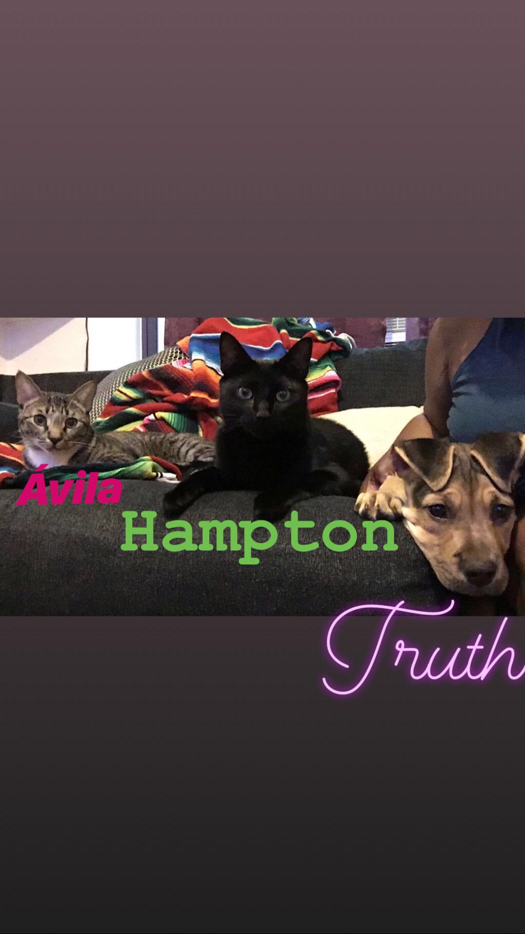 The Larios-Moore fur babies