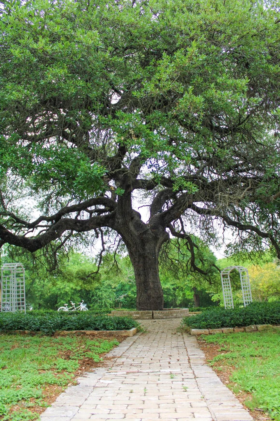 The Wedding Website of Racquelle Requenez and Steffin McCarter