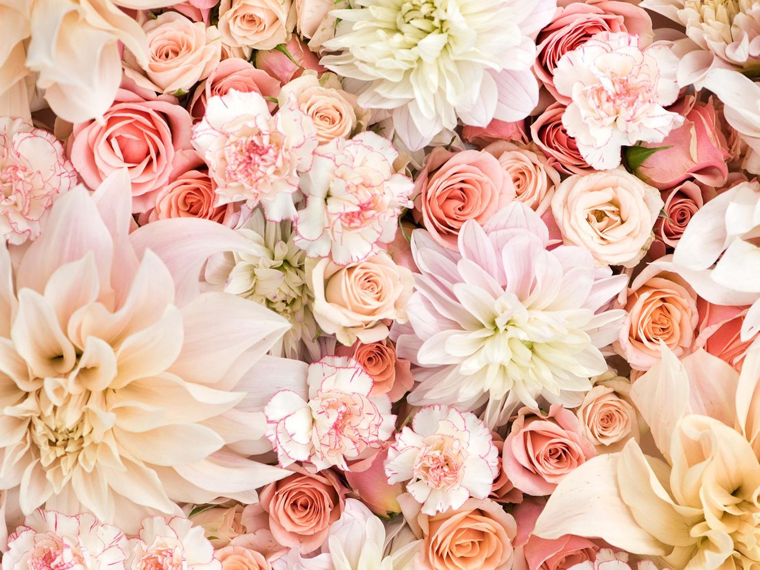 The Wedding Website of Jessica Santana and Diego Carbajal