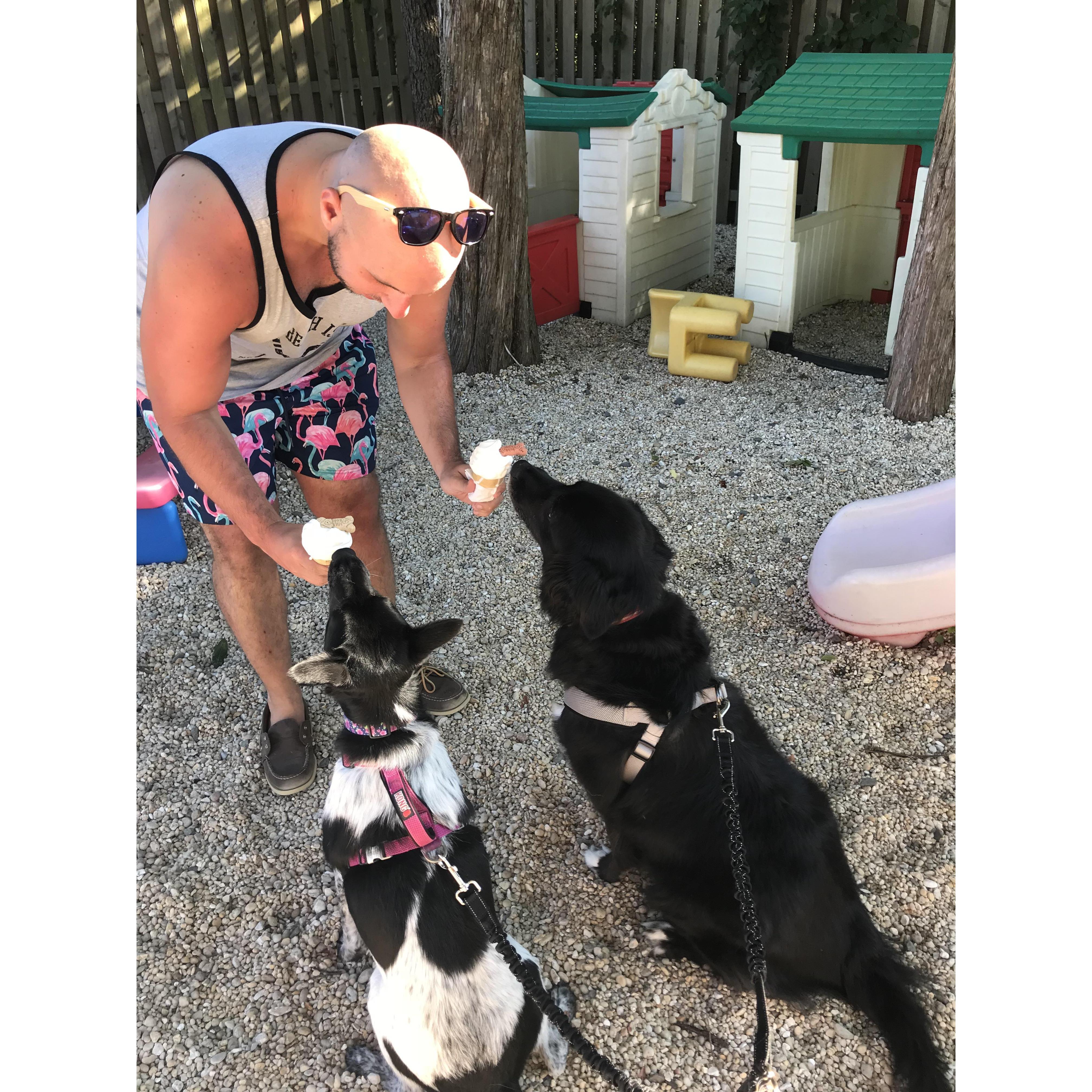 puppies' first trip to Jeffreeze