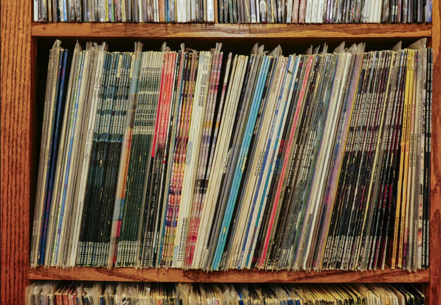 5bc21d28-d6b0-4bb9-8c85-dbccfc362c83