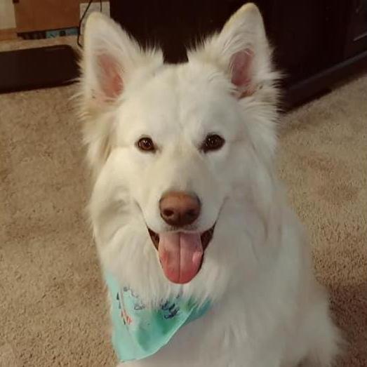 Our beautiful boy, Akodah!