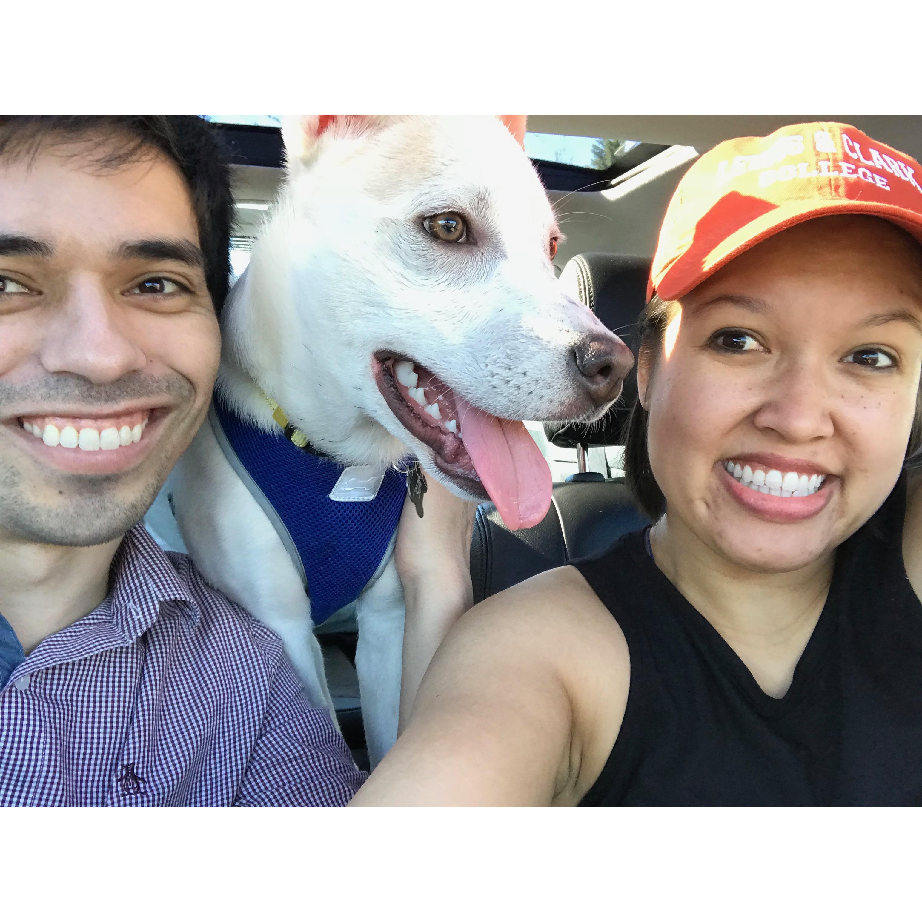 Sia's first visit to the dog park!