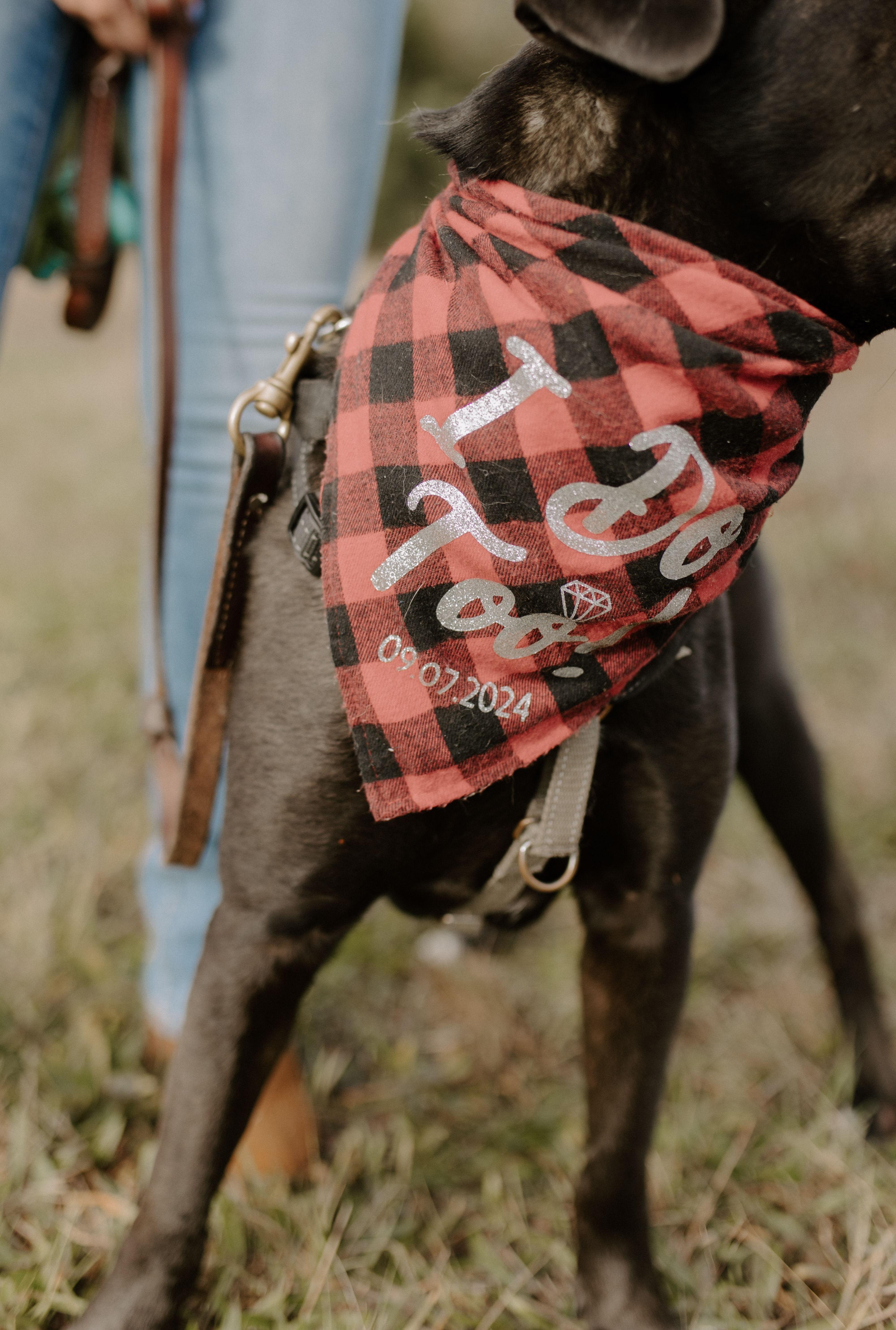 The Wedding Website of Danielle Hood and Joshua Broad