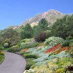 Red Butte Garden and Arboretum